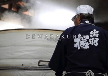 DEWAZAKURA DEWAZAKURA